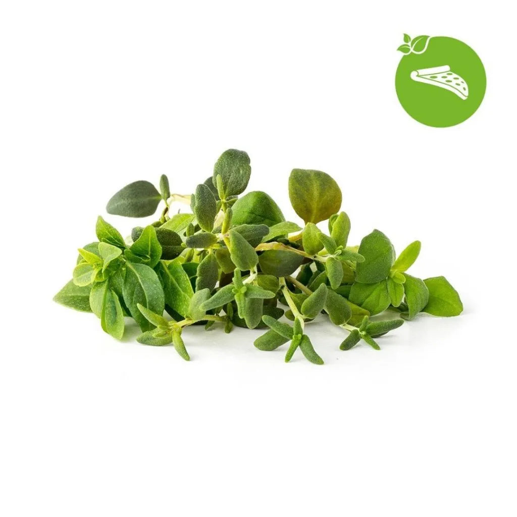 Capsule Click & Grow cu seminte si substrat de amestec de ierburi italiene 9buc - iSTYLE RO