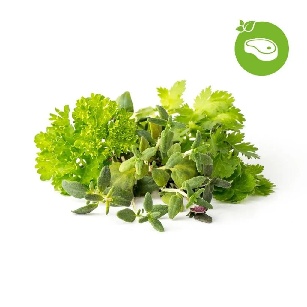Capsule Click & Grow cu seminte si substrat de amestec de ierburi pentru friptura 9buc - iSTYLE RO
