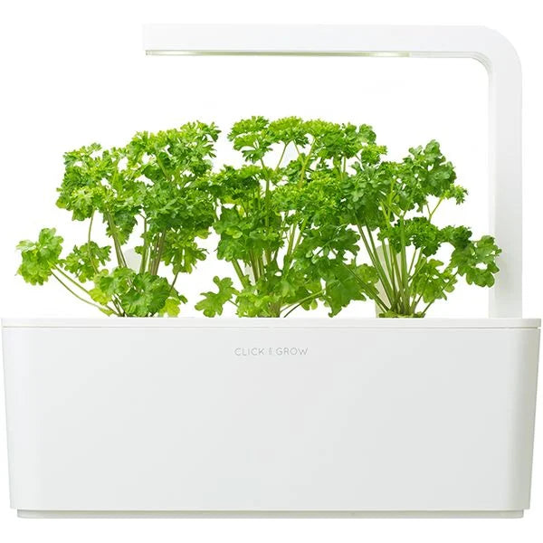 Capsule Click & Grow cu seminte si substrat de patrunjel 3buc - iSTYLE RO