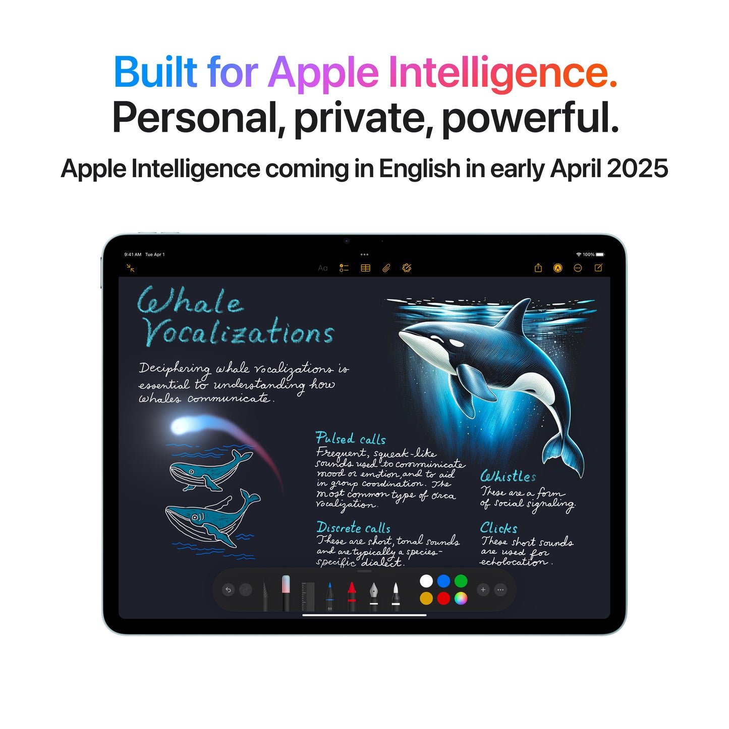 iPad Air M3, 13", 512GB, Wi-Fi, Space Grey - iSTYLE RO