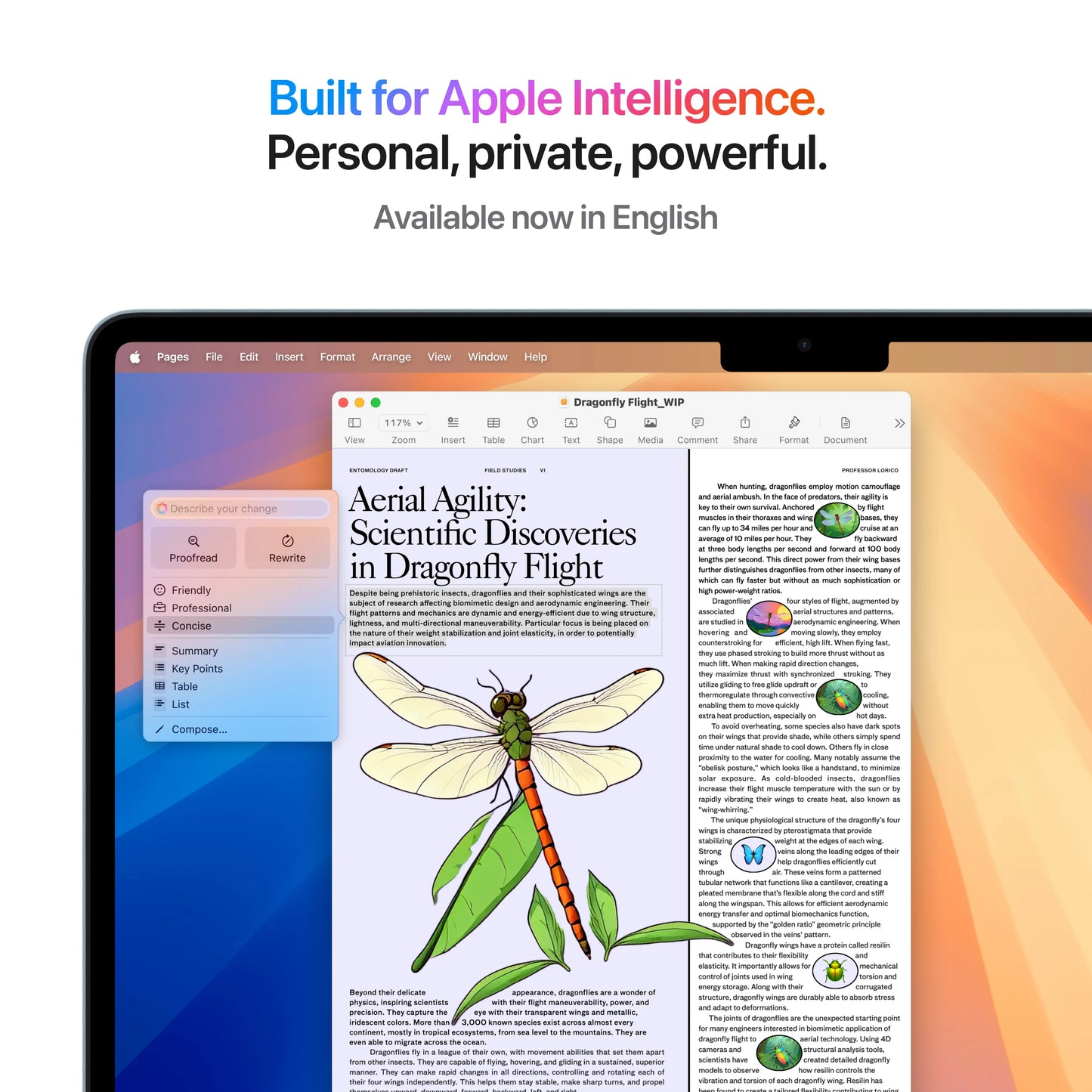MacBook Air 13", procesor Apple M4, 10 nuclee CPU si 10 nuclee GPU, 16GB, 512GB, Sky Blue, INT KB - iSTYLE RO