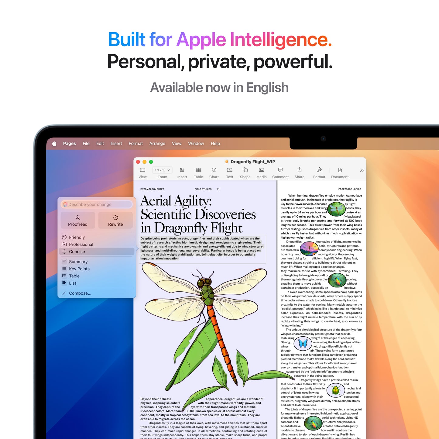 MacBook Air 13", procesor Apple M4, 10 nuclee CPU si 8 nuclee GPU, 16GB, 256GB, Starlight, INT KB - iSTYLE RO