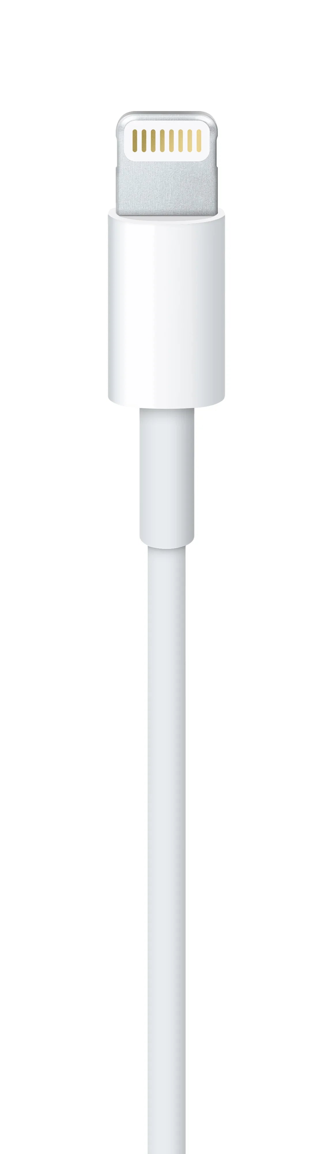 Cablu de date Apple USB-A la Lightning (1 m) - iSTYLE RO