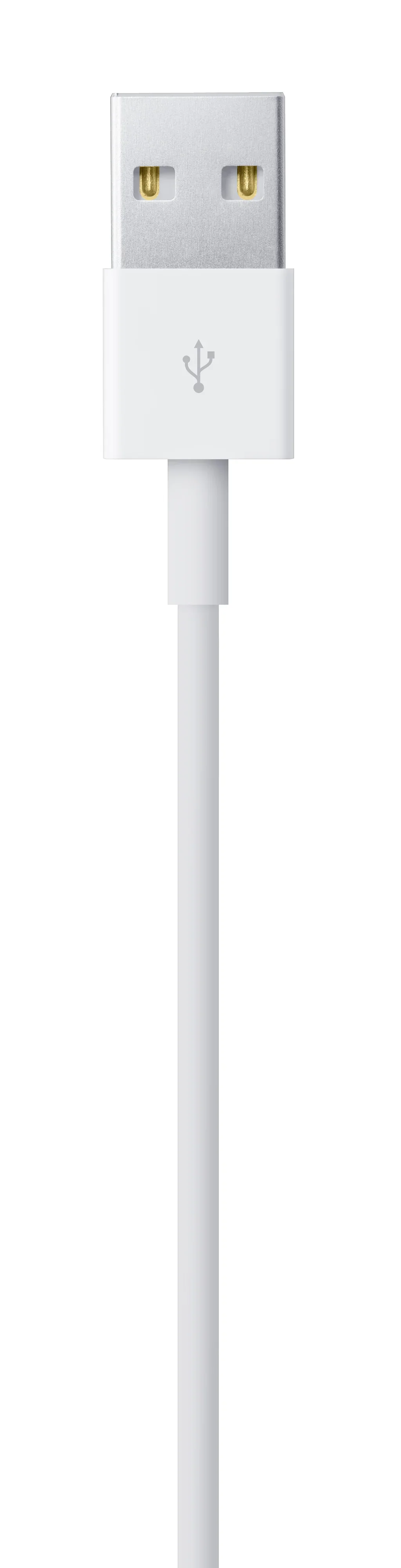 Cablu de date Apple USB-A la Lightning (1 m) - iSTYLE RO