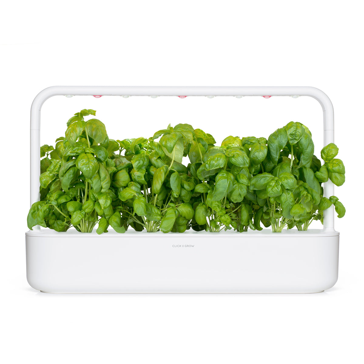 Capsule Click & Grow cu seminte si substrat de busuioc 3buc - iSTYLE RO