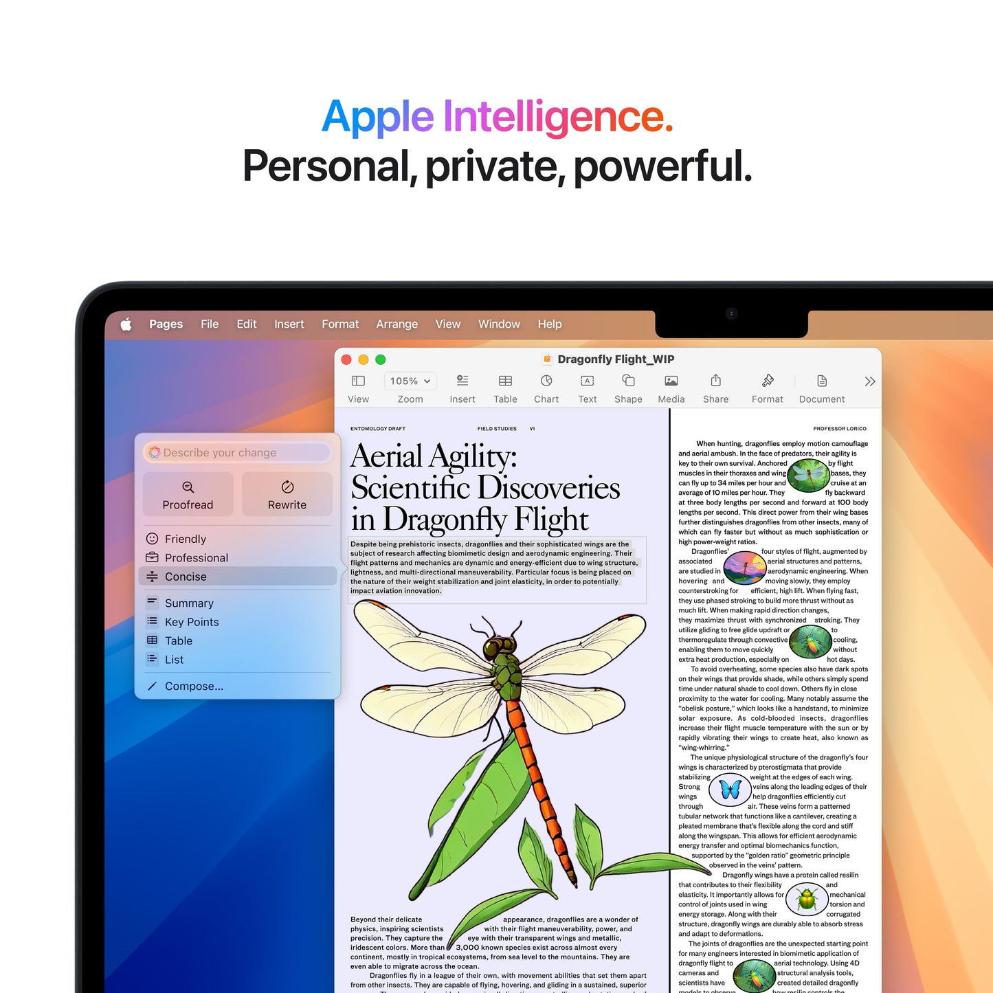 Resigilat: MacBook Air 13", procesor Apple M4, 10 nuclee CPU si 10 nuclee GPU, 16GB, 512GB, Midnight, INT KB - iSTYLE RO