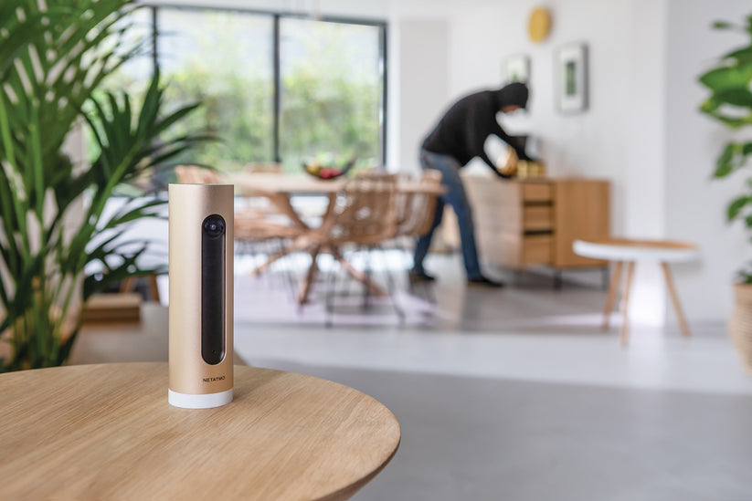 Camera Netatmo Welcome WIFI, cu recunoasterea fetei - iSTYLE RO