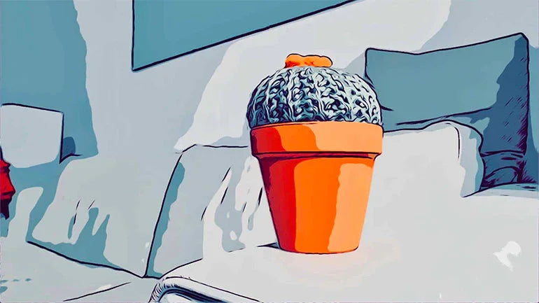 Cum poti utiliza efectele iMessage asupra fotografiilor din Messages