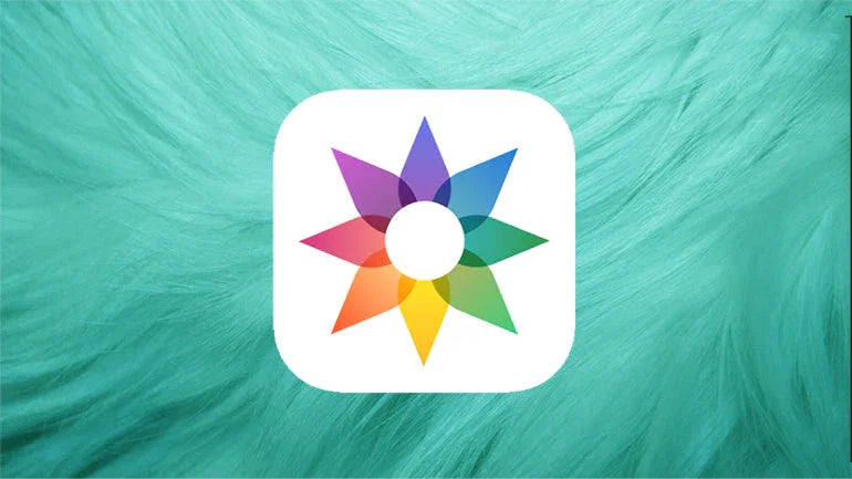 Metapho - Afla mai multe despre Deep Fusion