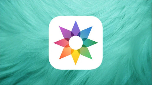 Metapho - Afla mai multe despre Deep Fusion