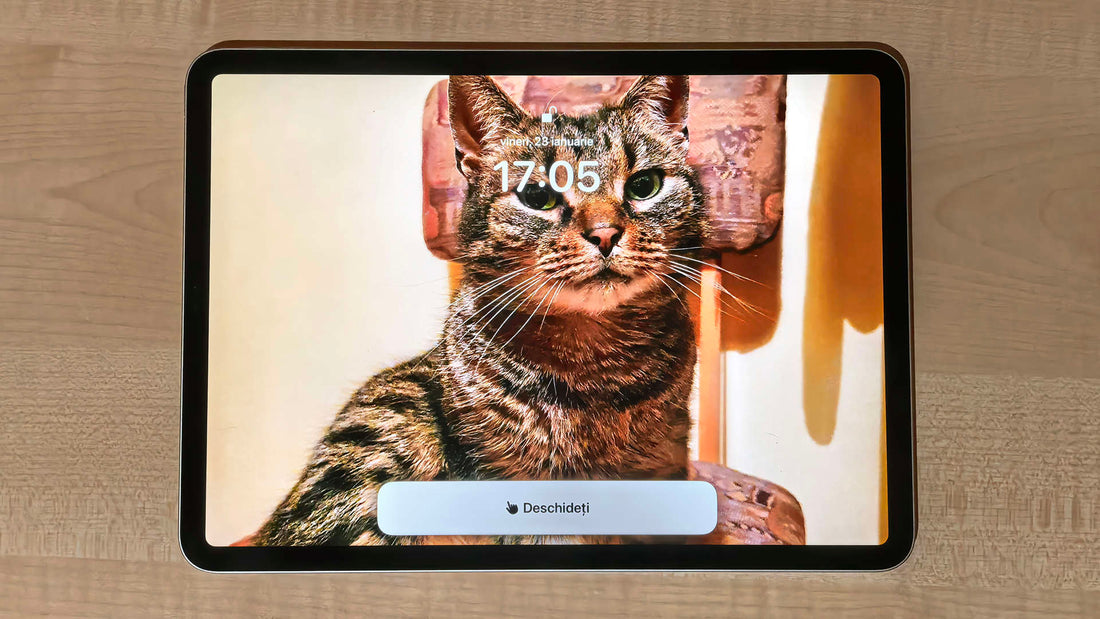 Astfel, utilizarea iPhone-ului și iPad-ului poate fi simplificată cu ajutorul Accesibilității