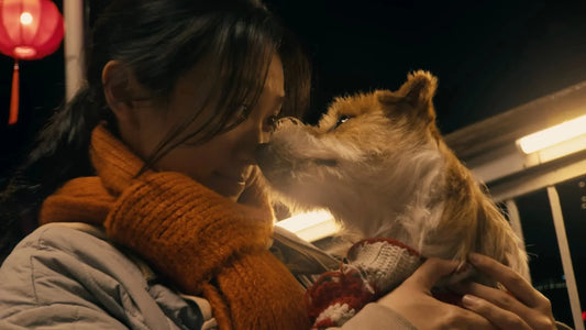 A apărut scurtmetrajul de Anul Nou Chinezesc al Apple din acest an