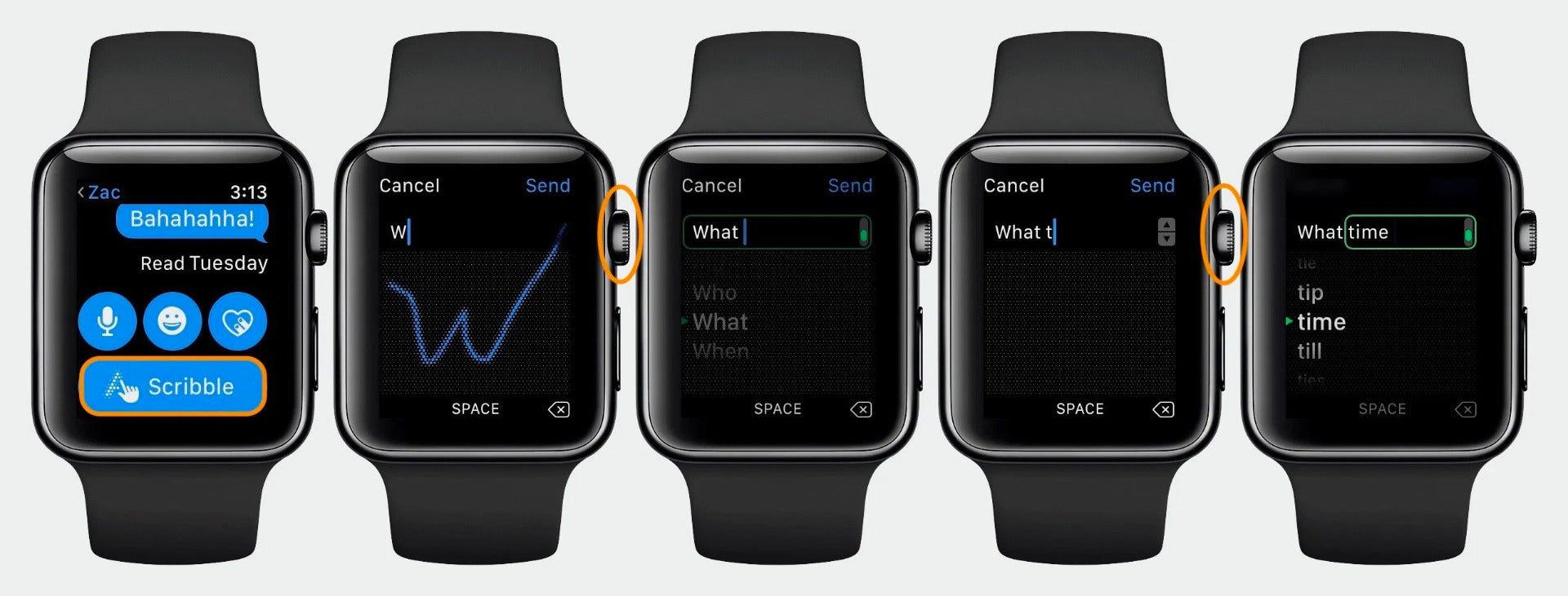 apple watch scribble