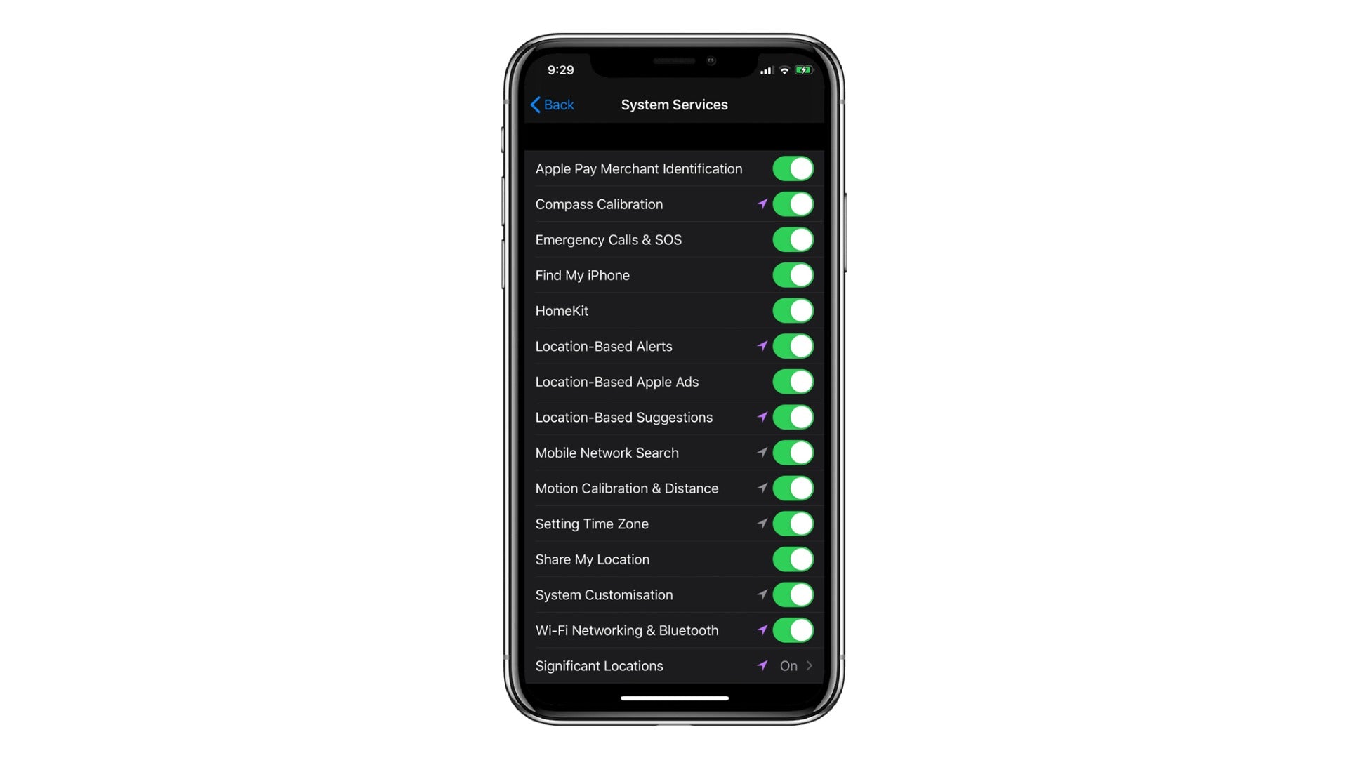 screenshot system services din iphone