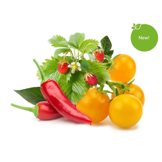 Capsule Click & Grow cu seminte si substrat de amestec de fructe si legume 9buc - iSTYLE RO