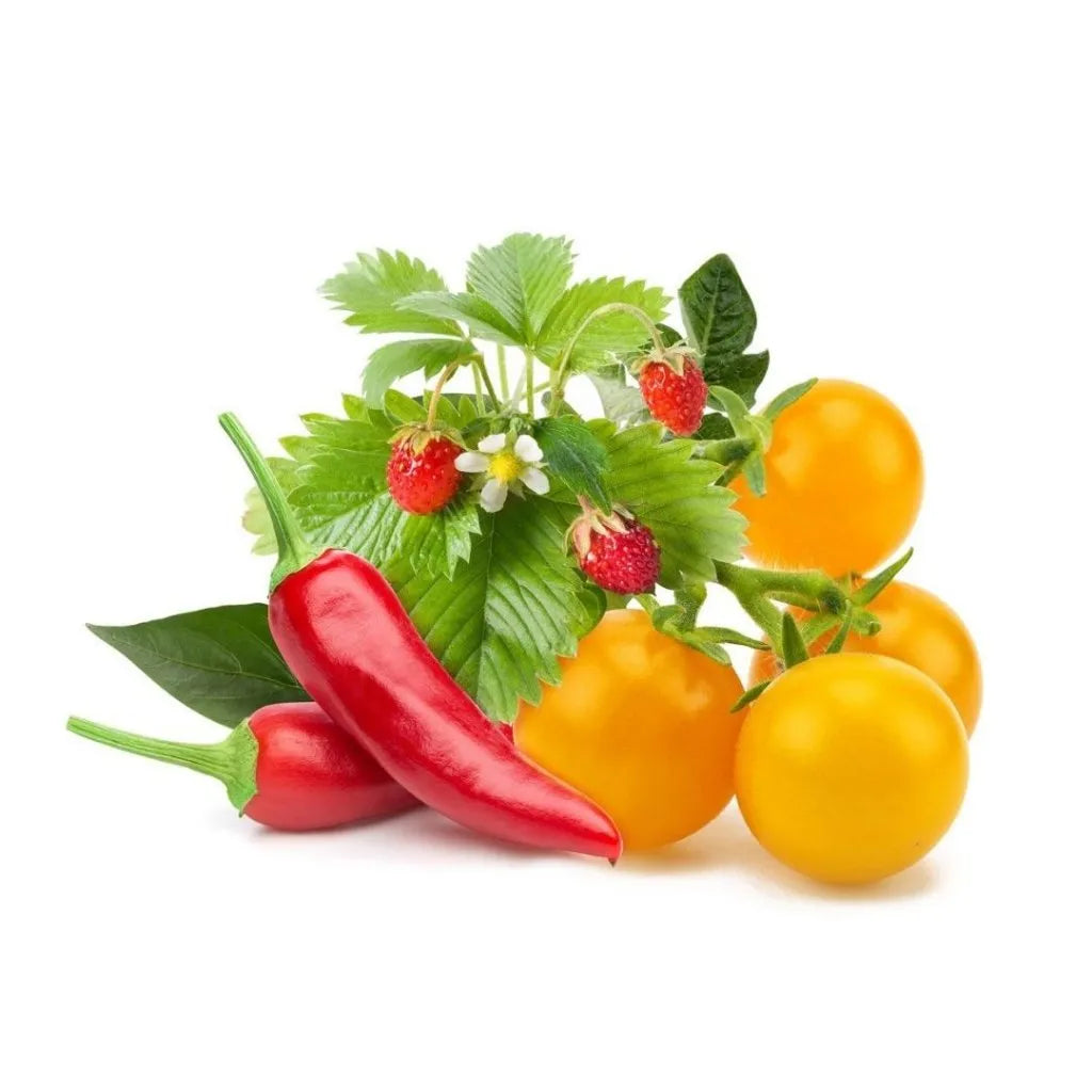 Capsule Click & Grow cu seminte si substrat de amestec de fructe si legume 9buc - iSTYLE RO