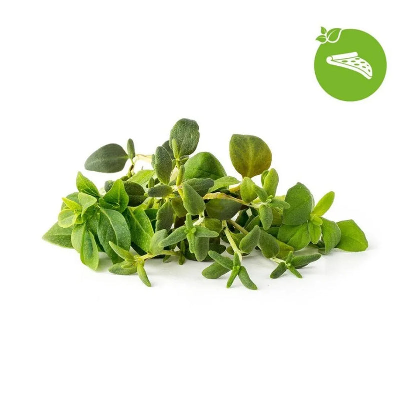 Capsule Click & Grow cu seminte si substrat de amestec de ierburi italiene 9buc - iSTYLE RO