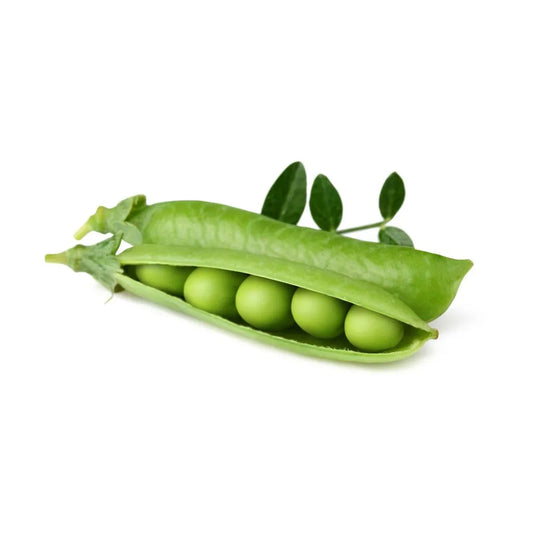 Capsule Click & Grow cu seminte si substrat de mazare 3buc - iSTYLE RO