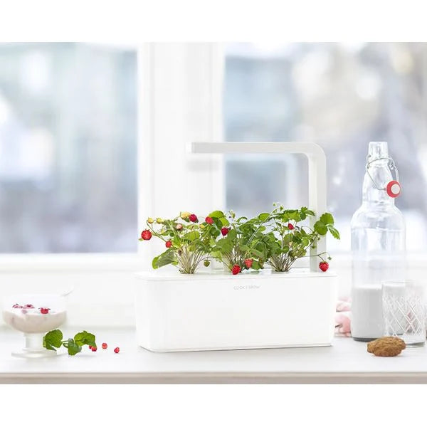 Capsule Click & Grow cu seminte si substrat de capsuni salbatice 3buc - iSTYLE RO