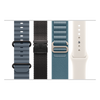 Accesorii Apple Watch