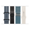 Accesorii Apple Watch