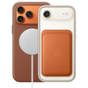 Accesorii iPhone