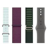 Accesorii Apple Watch
