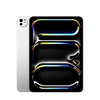 iPad Pro 11