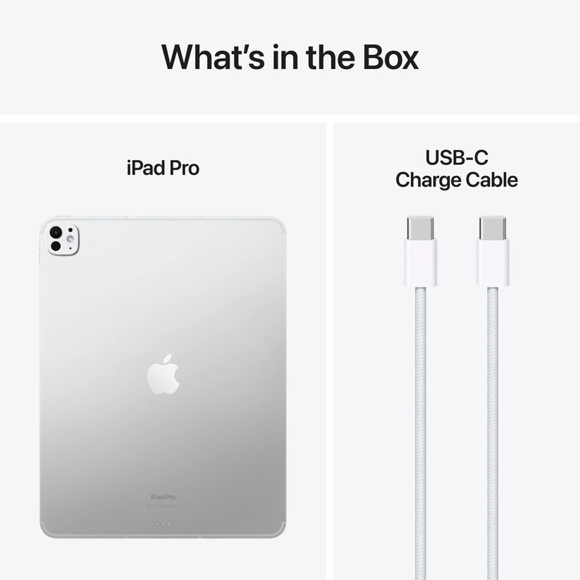 iPad Pro 13" M4, 2TB, Cellular, Standard Glass, Silver - iSTYLE RO