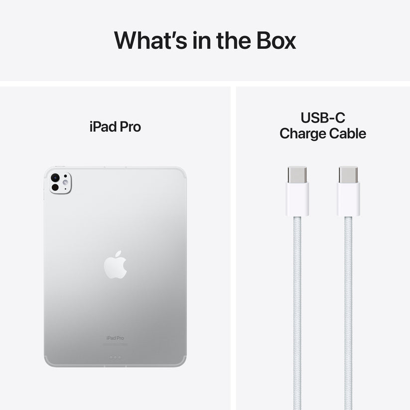 iPad Pro 11" M4, 2TB, Cellular, Standard Glass, Silver - iSTYLE RO