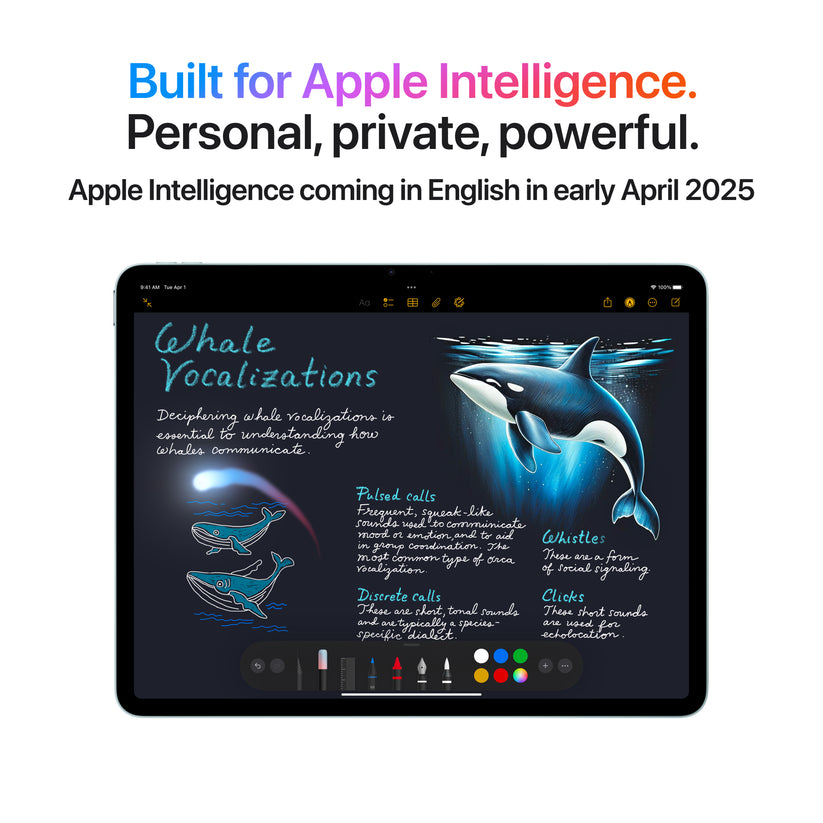 iPad Air M3, 11", 1TB, Wi-Fi, Space Grey - iSTYLE RO