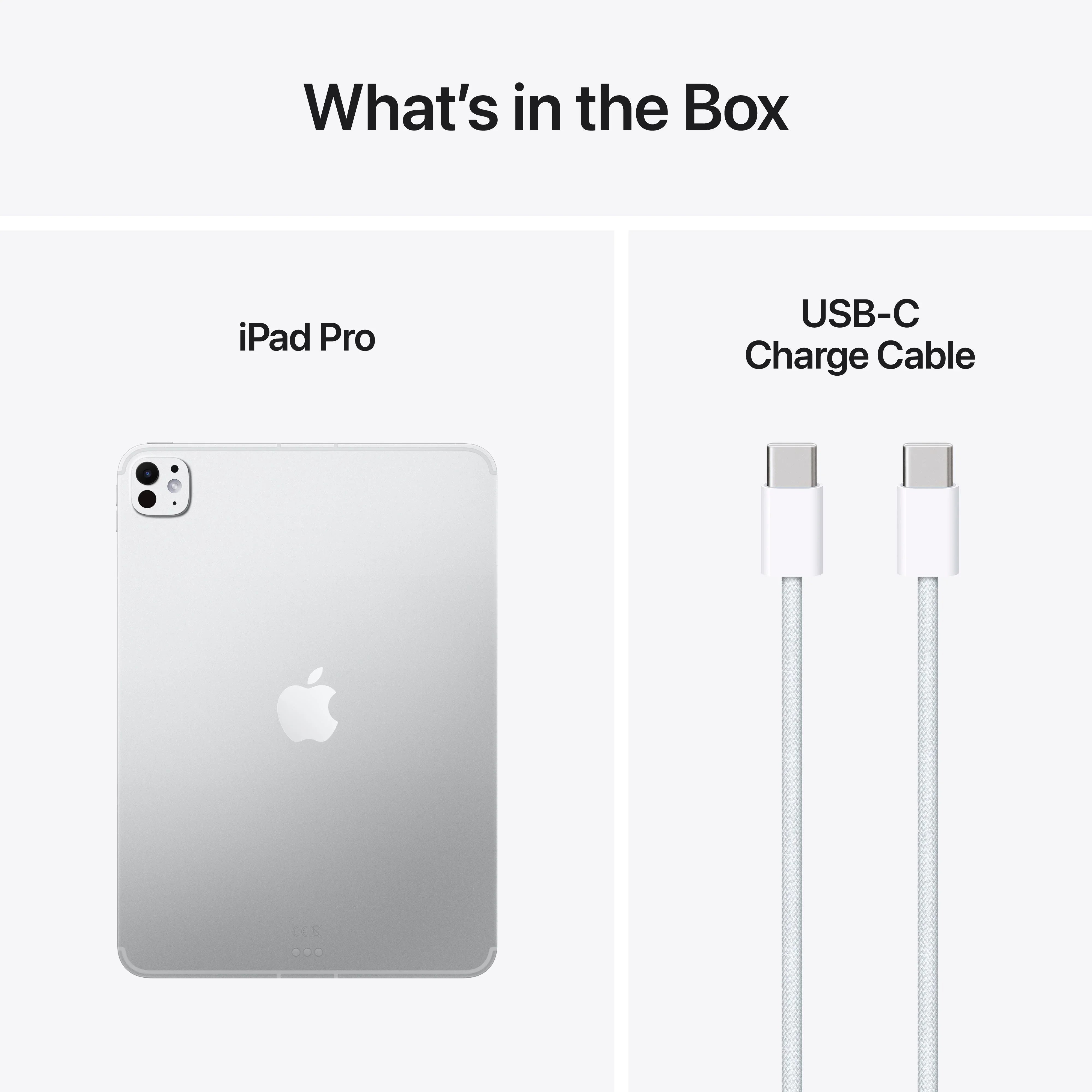 iPad Pro 11