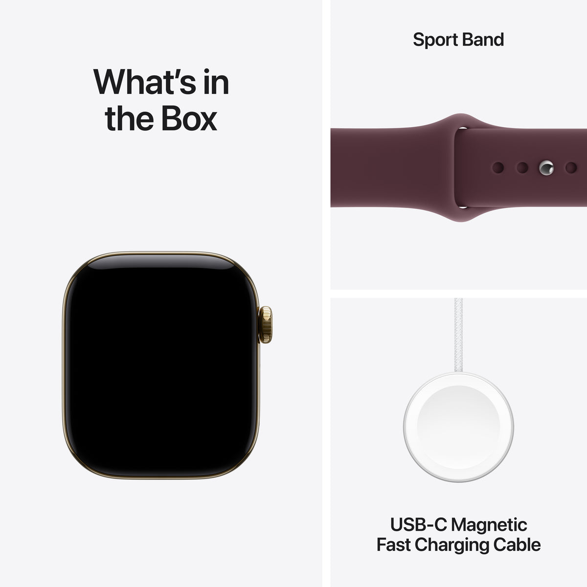 Apple Watch Series 12 GPS + Cellular 42mm Radiant Gold Titanium Case with Burgundy Sport Band - M/L - iSTYLE.ro