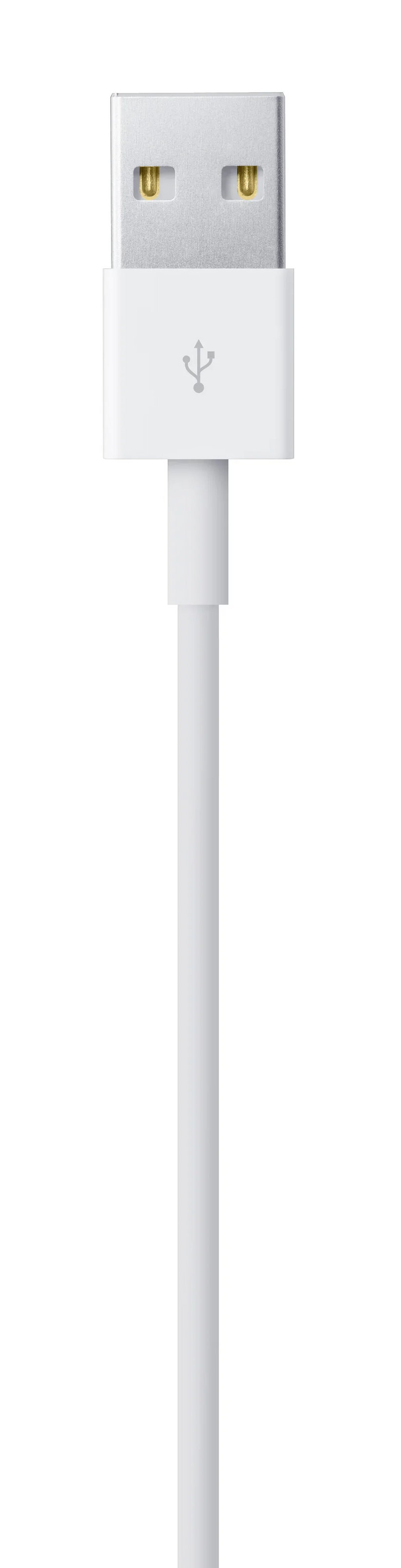 Cablu de date Apple USB-A la Lightning (1 m) - iSTYLE RO
