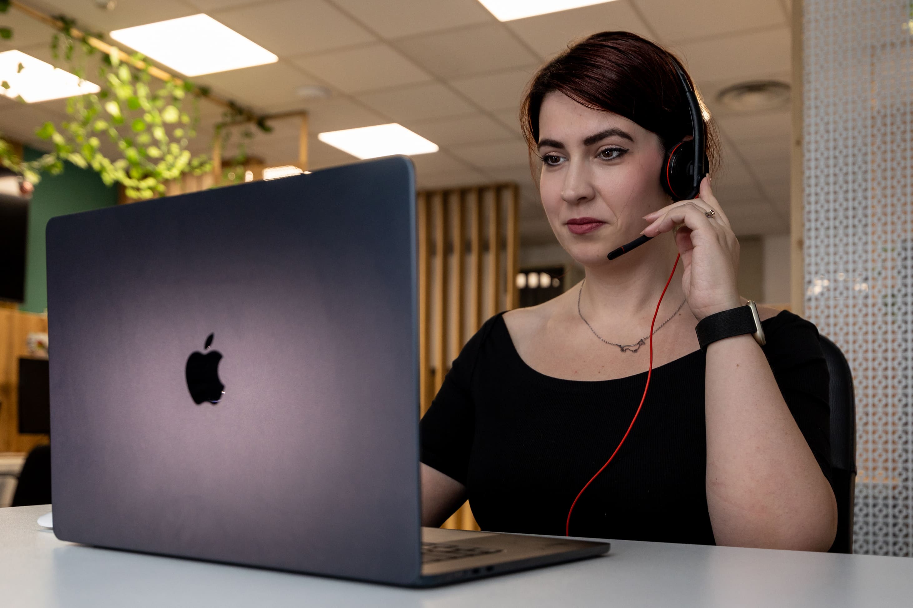 Mircea Căpățînă