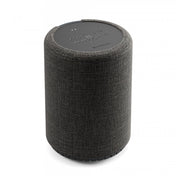 Boxa portabila Audio Pro G10 AirPlay 2, Google Assistant & Cast & BT, Dark Grey - iSTYLE RO