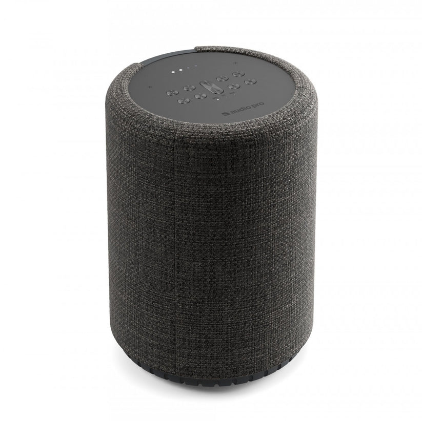 Boxa portabila Audio Pro G10 AirPlay 2, Google Assistant & Cast & BT, Dark Grey - iSTYLE RO