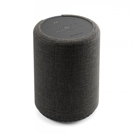 Boxa portabila Audio Pro G10 AirPlay 2, Google Assistant & Cast & BT, Dark Grey - iSTYLE RO