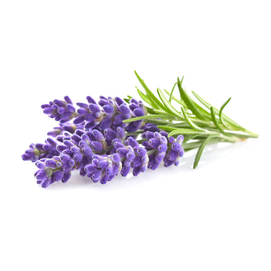 Capsule Click & Grow cu seminte si substrat de lavanda 3buc - iSTYLE RO