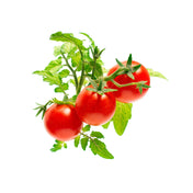 Capsule Click & Grow cu seminte si substrat de mini rosii 3buc - iSTYLE RO