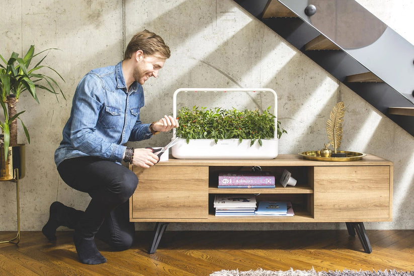 Gradina inteligenta Click & Grow Smart Garden 9, cu lampa LED, Alb - iSTYLE RO