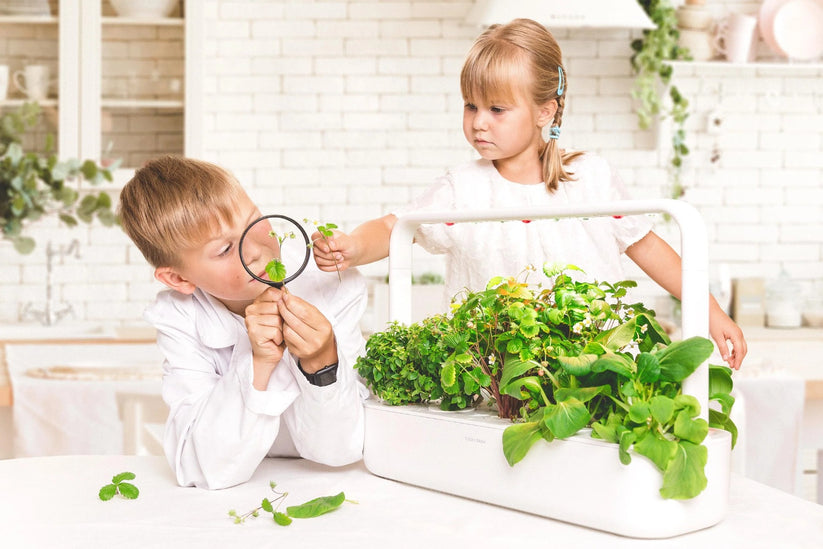 Gradina inteligenta Click & Grow Smart Garden 9, cu lampa LED, Alb - iSTYLE RO