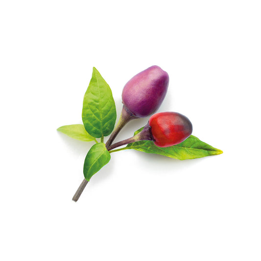 Capsule Click & Grow cu seminte si substrat de ardei iute violet 3buc - iSTYLE RO
