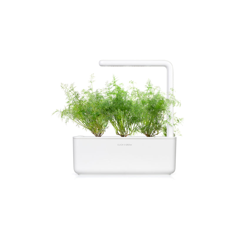 Capsule Click & Grow cu seminte si substrat de marar 3buc - iSTYLE RO