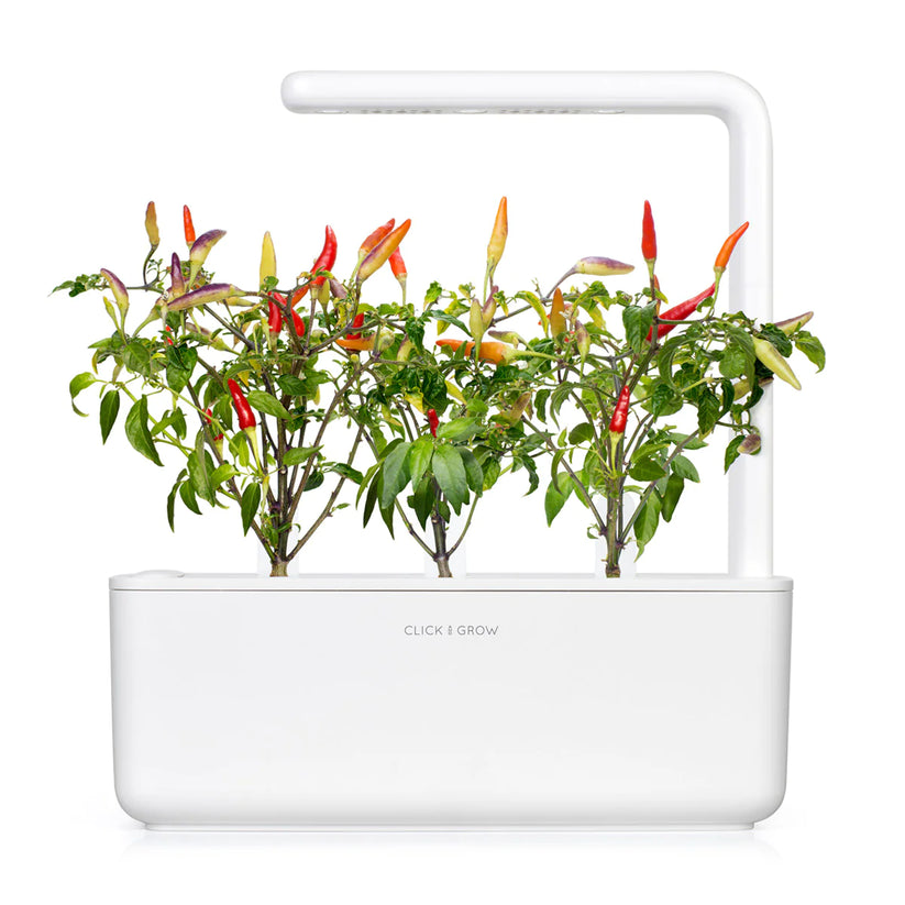Capsule Click & Grow cu seminte si substrat de Ardei rosu iute 3buc - iSTYLE RO
