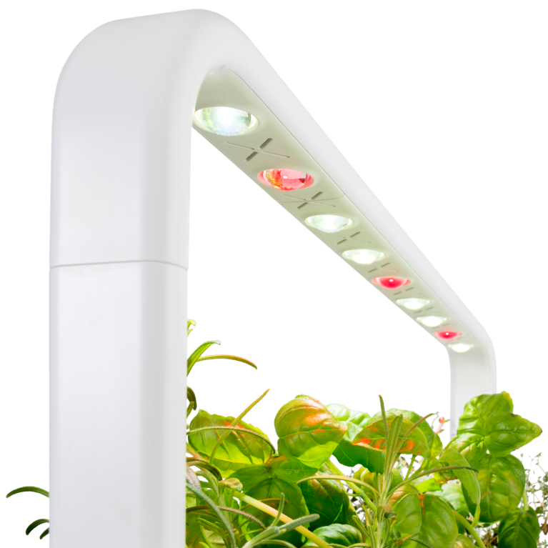 Gradina inteligenta Click & Grow Smart Garden 9, cu lampa LED, Alb - iSTYLE RO