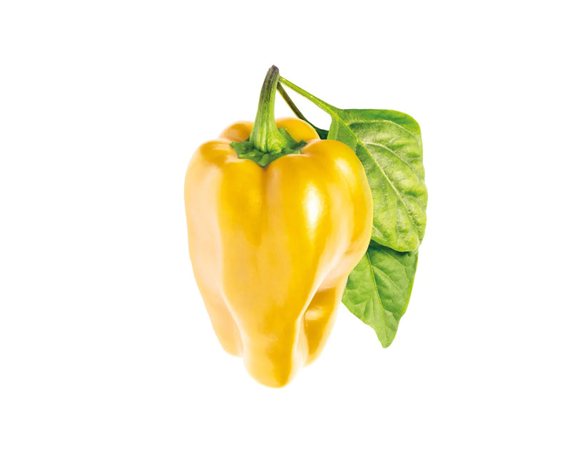 Capsule Click & Grow cu seminte si substrat de ardei galben 3buc - iSTYLE RO