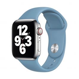 Curea Apple pentru Apple Watch 40mm Band: Northern Blue Sport Band - Regular (Seasonal Nov2020)
