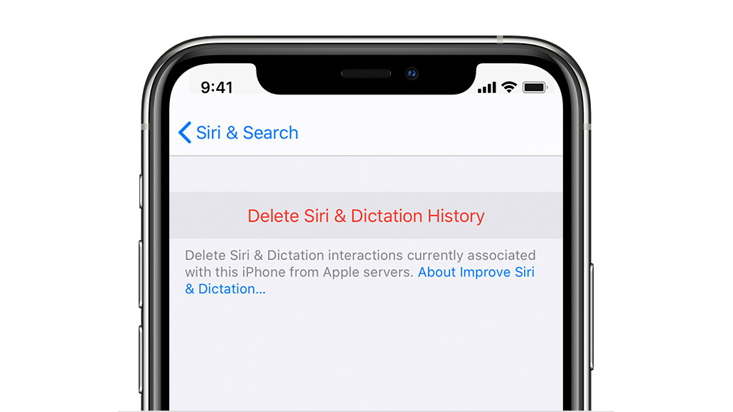 meniu iPhone Delete Siri & Dictation History