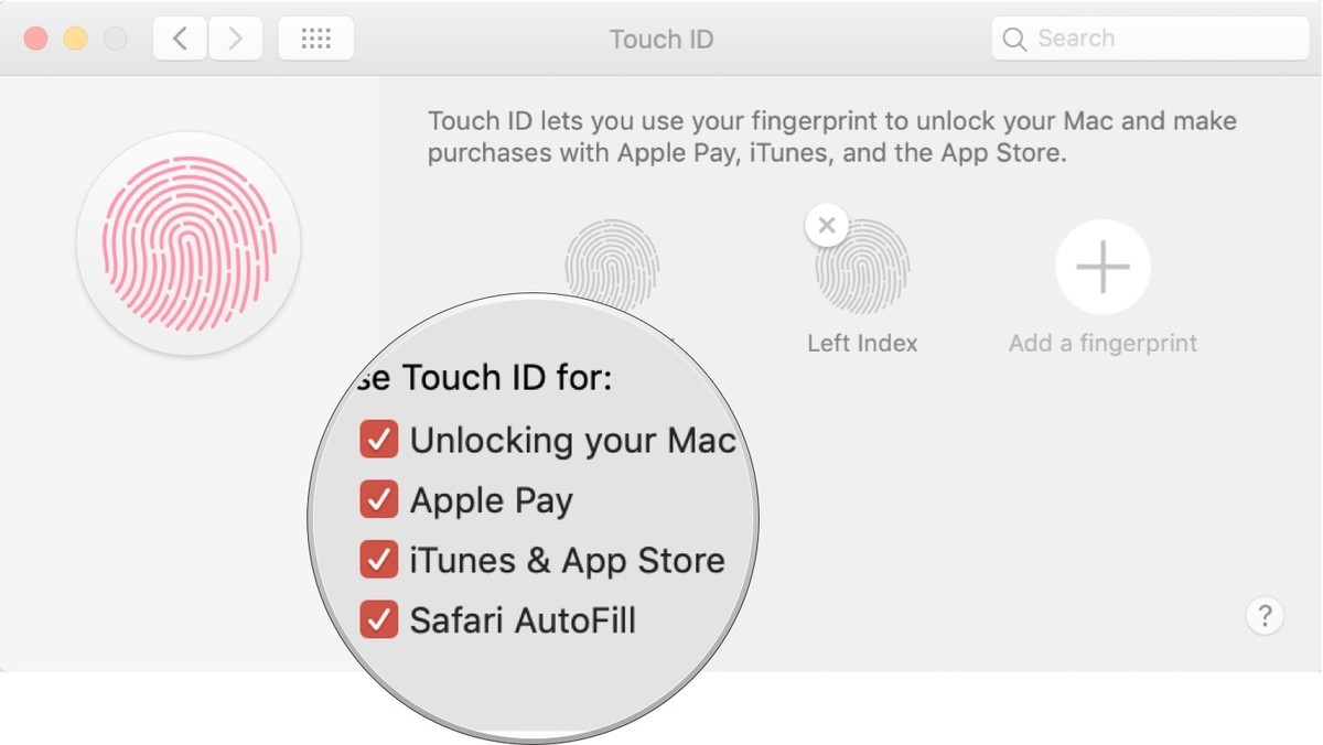 fereastra touch id